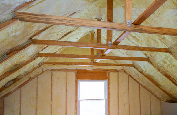 Professional Insulation Contractor in IA