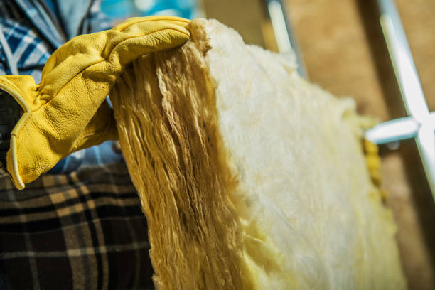 Best Types of Insulation in Long Grove, IA