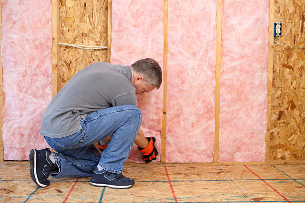 Best Commercial Insulation in Long Grove, IA